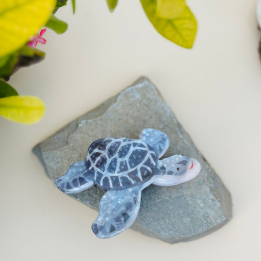 Turtle Claw Clip